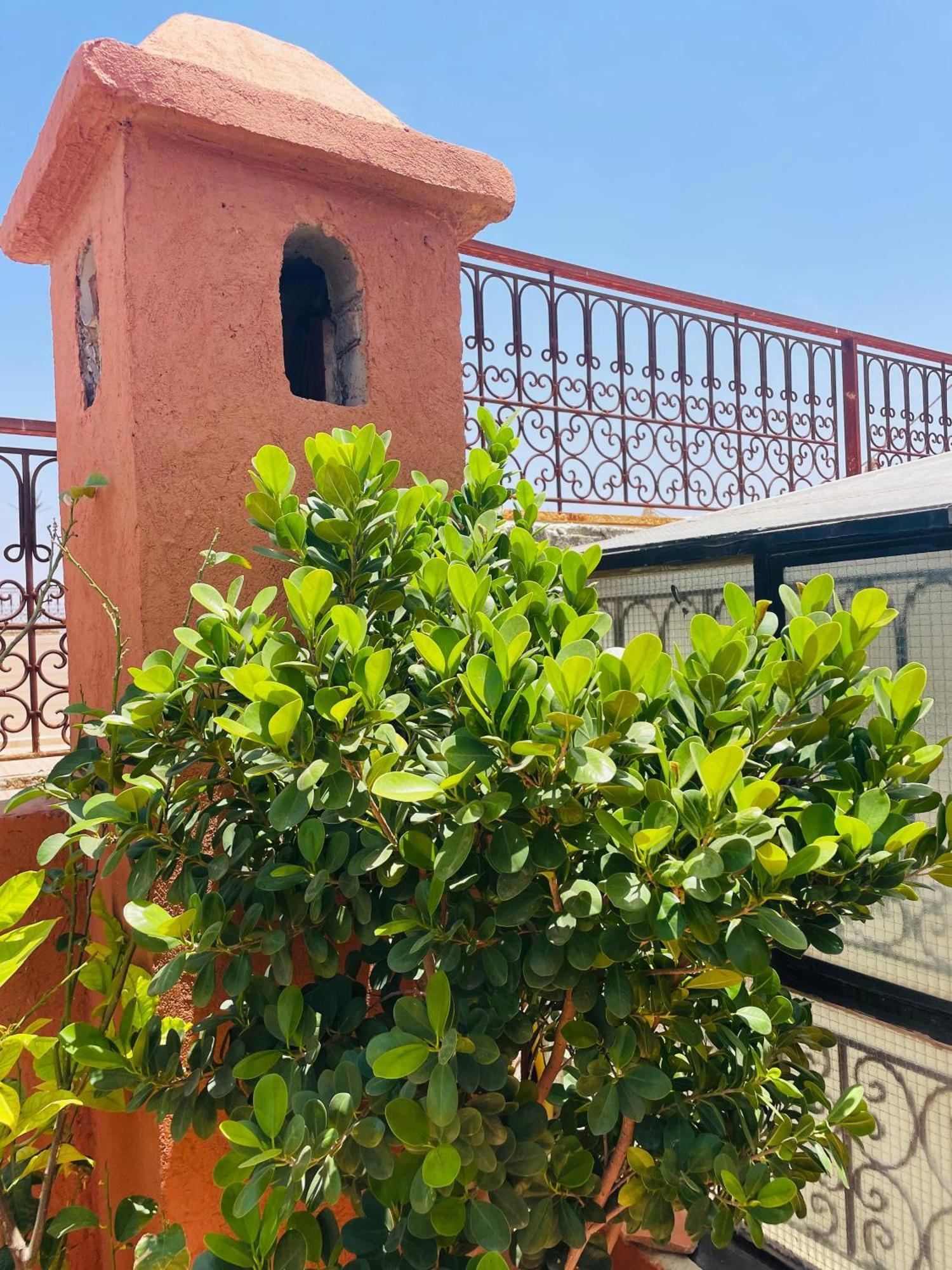 Riad Ms Holidays Terrasse Privatise Marrakech Marrakesh Buitenkant foto